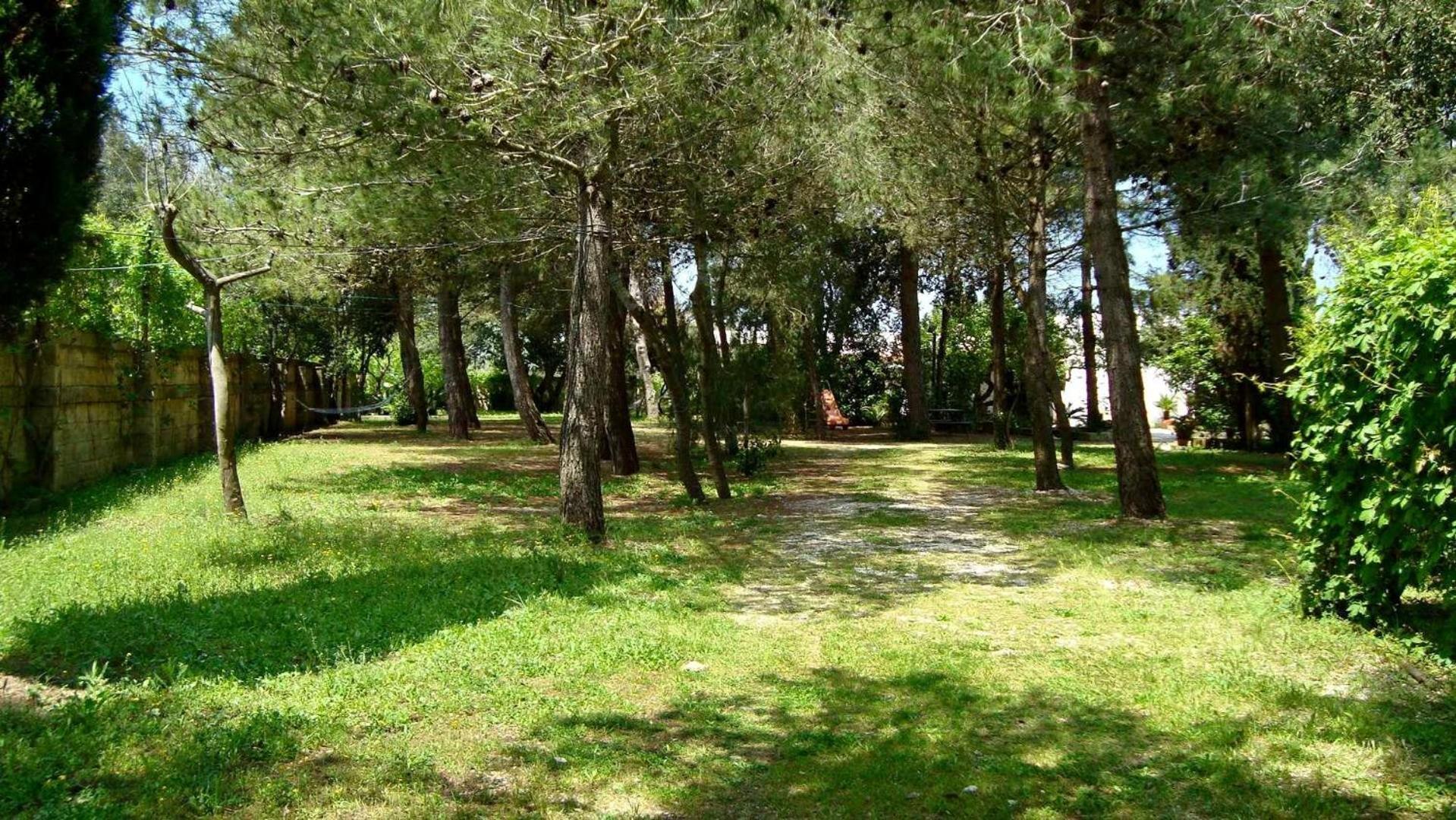 ויניאקסטריזי Agriturismo Vignavecchia מראה חיצוני תמונה