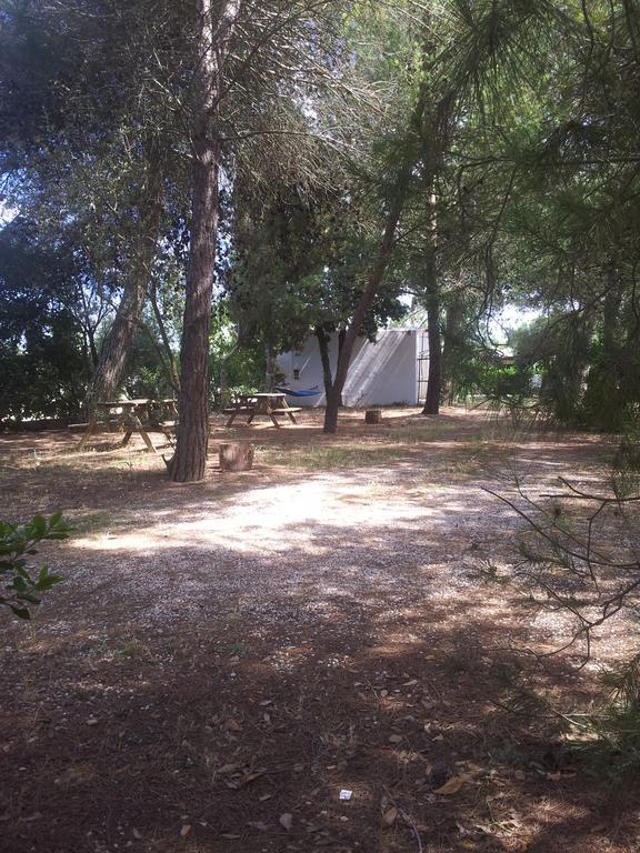 ויניאקסטריזי Agriturismo Vignavecchia מראה חיצוני תמונה